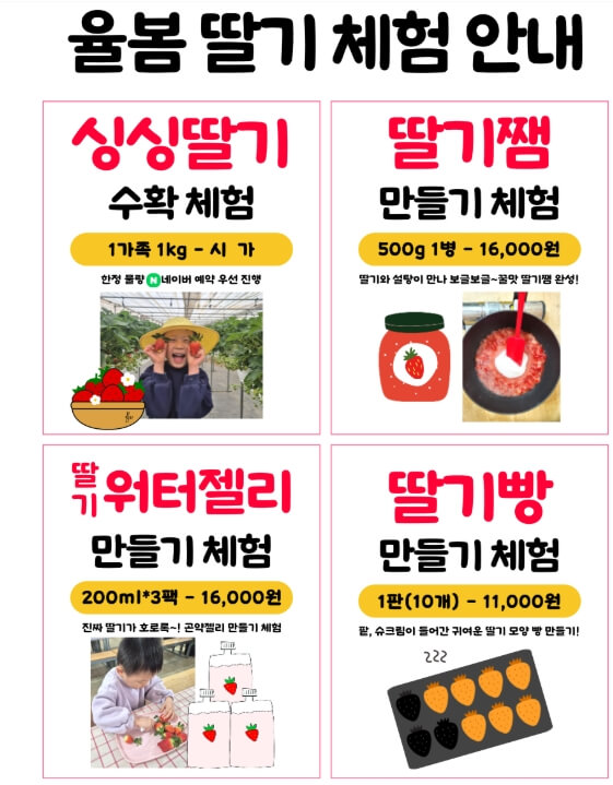 율봄딸기체험안내