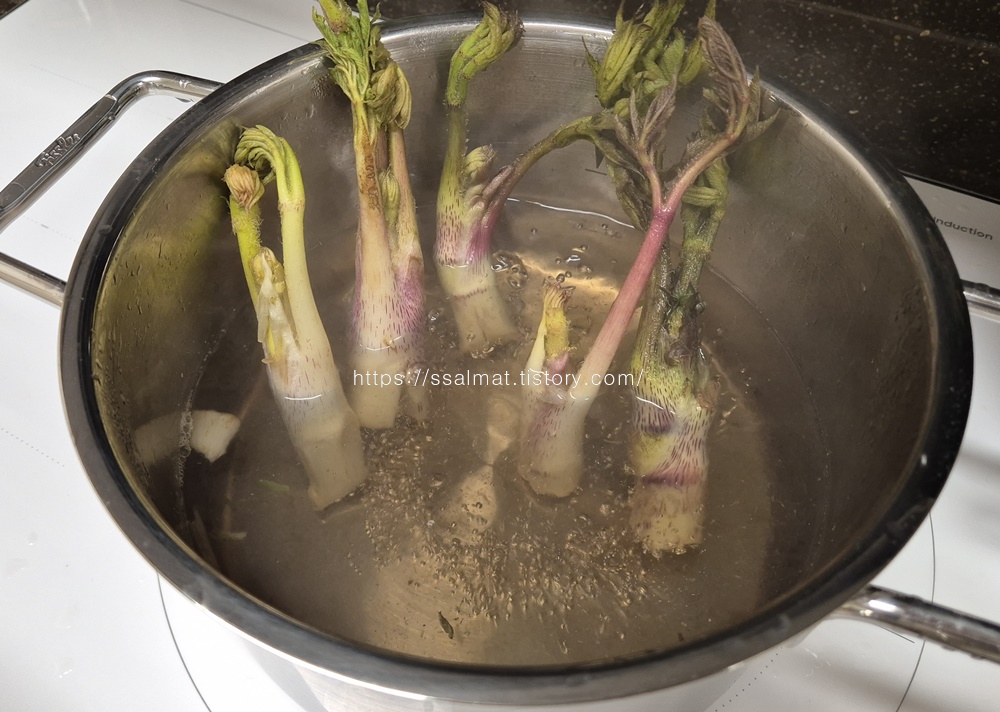 땅두릅-데치기