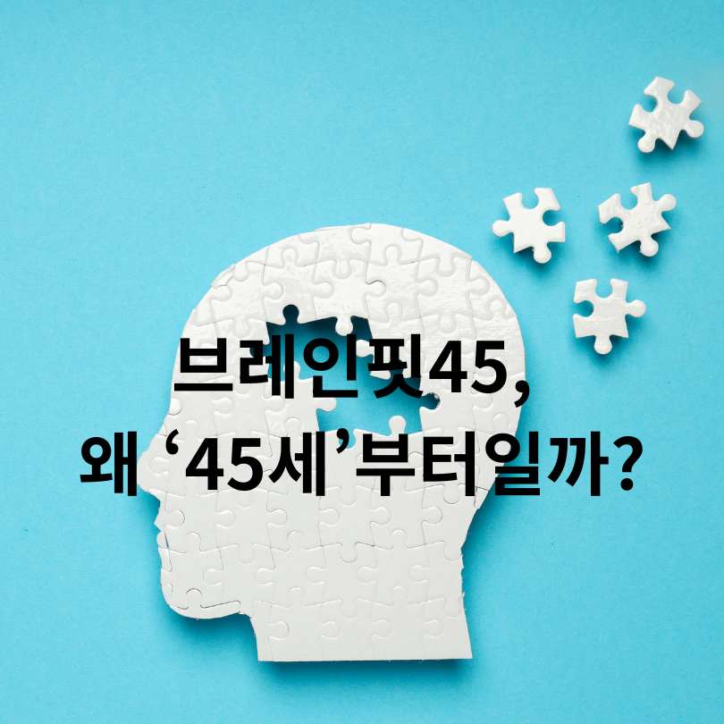 치매 예방 공공앱 ‘브레인핏45