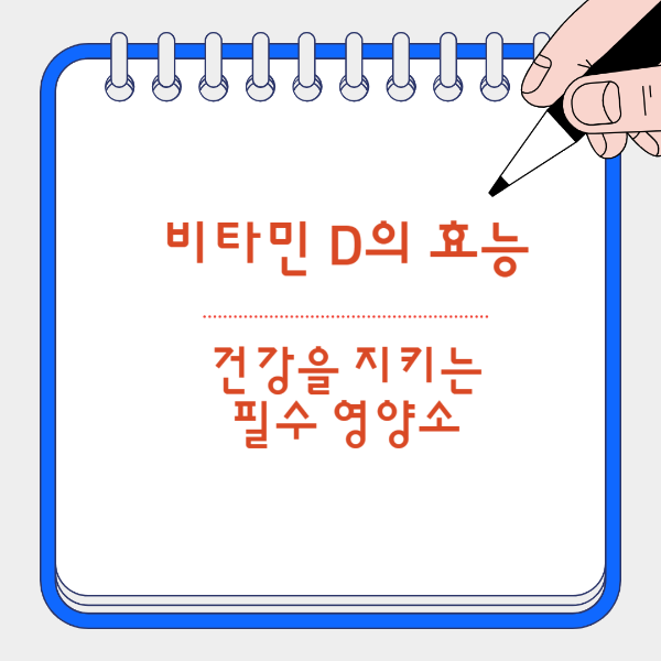 비타민 D 효능