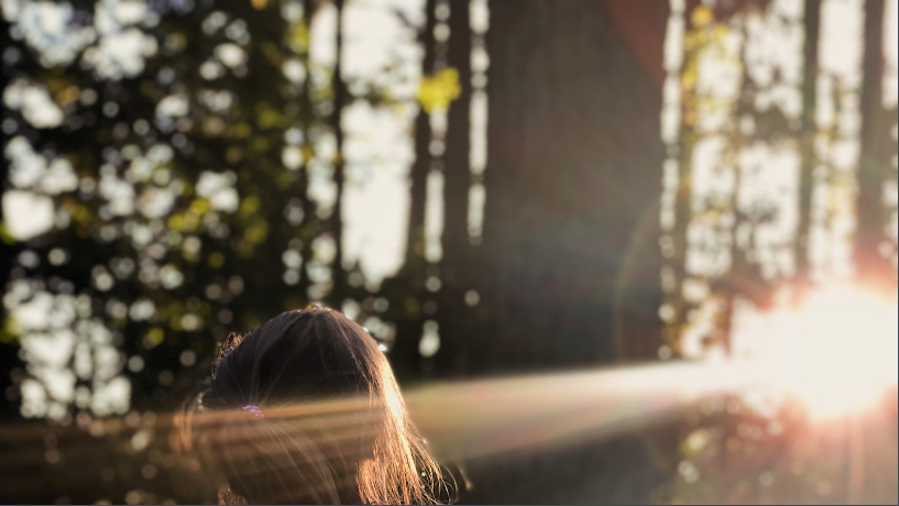 환경교육의 중요성