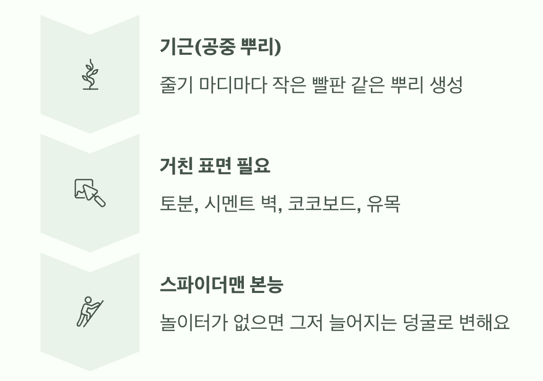 최고의 놀이터, '벽'을 선물하세요