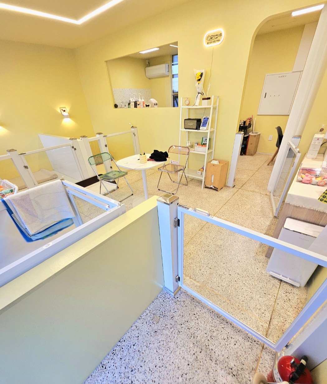 김포 사우동 애견미용 애견호텔