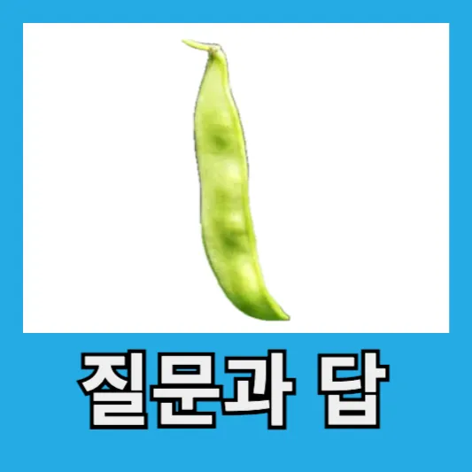 질문과 답