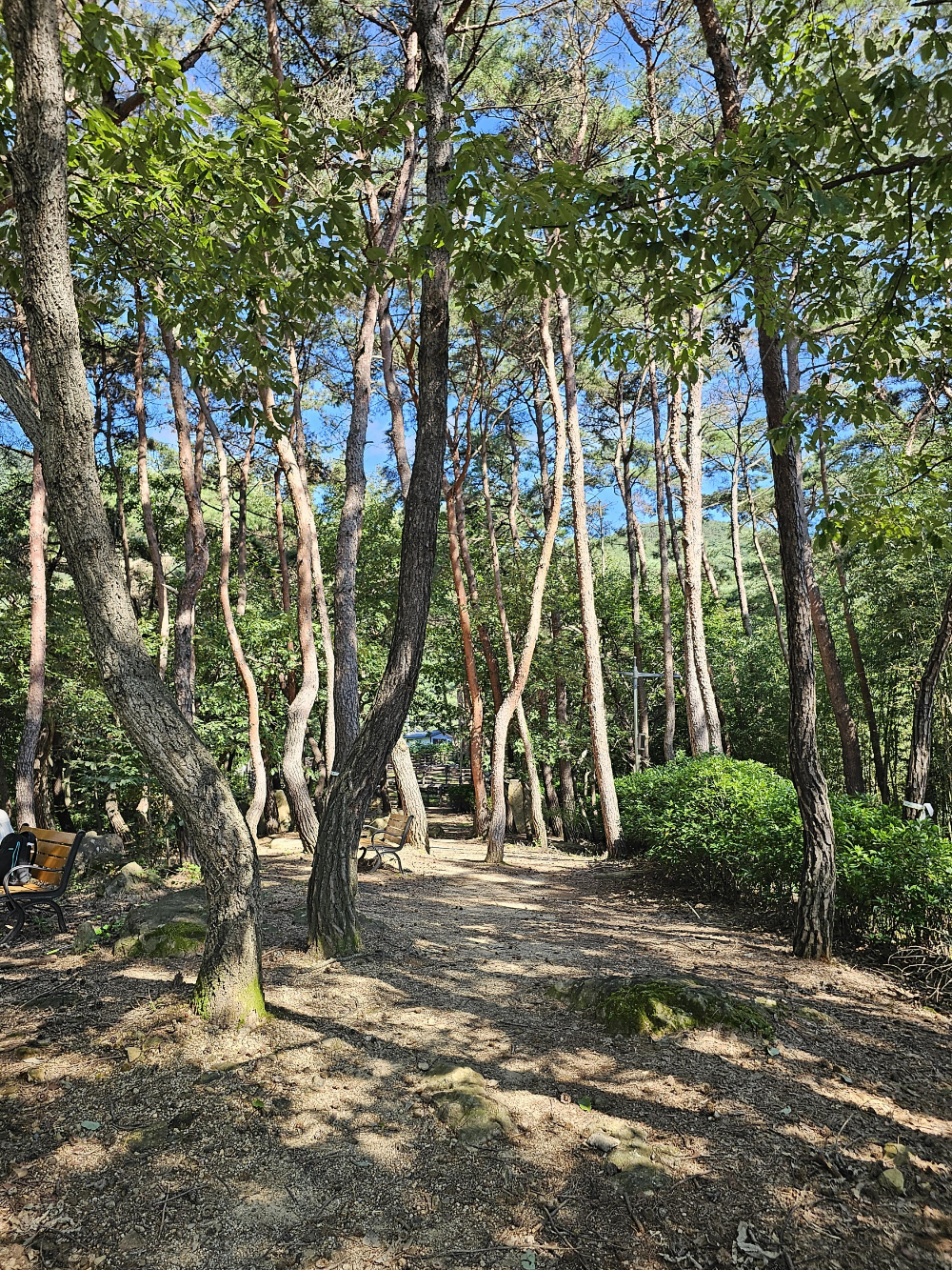 공원사진1
