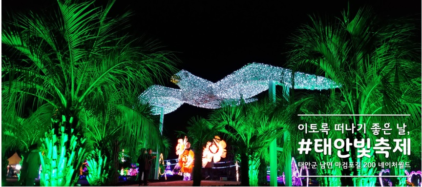태안빛축제