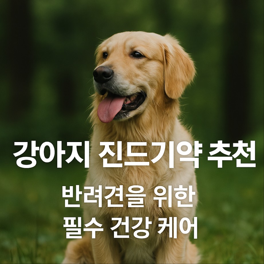 진드기약 추천 가이드