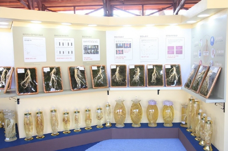 2024년 10월 가을 축제 일정