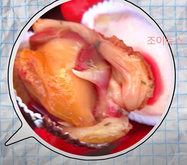 피조개의 리얼한 피 모양_출처:식품의약품안전처