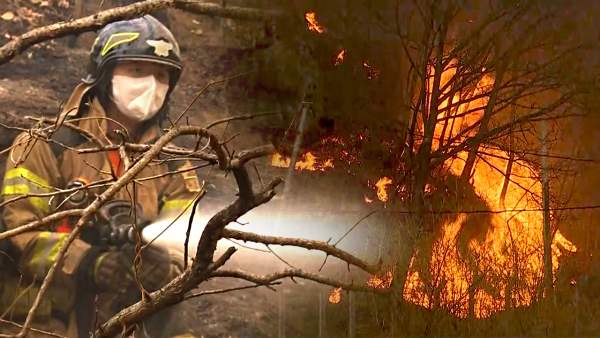 긴급재난지원금