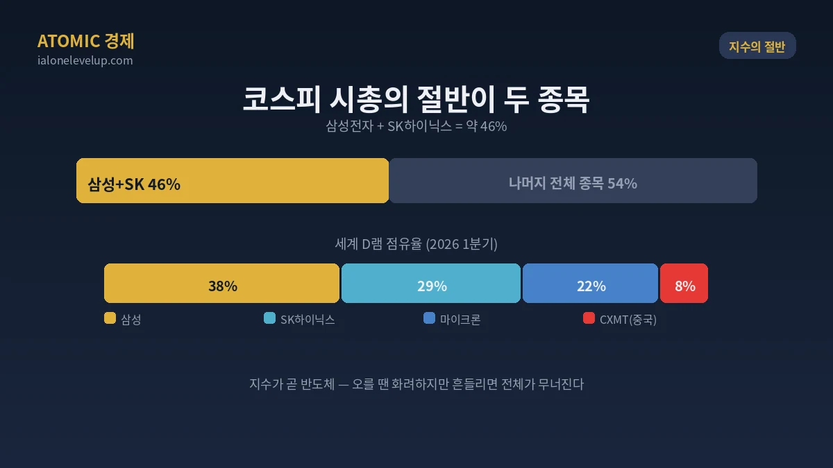 코스피 시가총액 약 46퍼센트가 삼성전자 SK하이닉스 두 종목 세계 D램 점유율 삼성 38 SK 29 지수는 곧 반도체