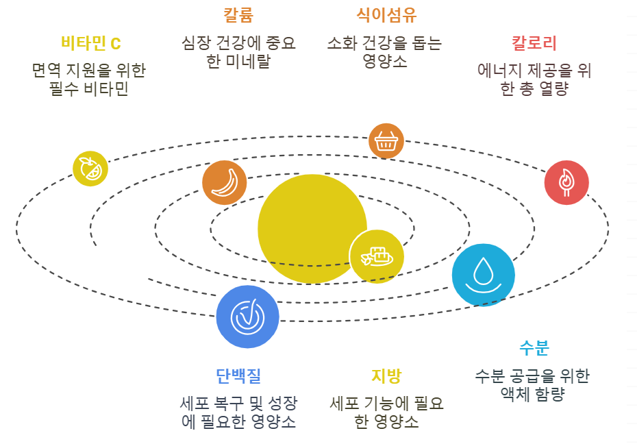 사과즙 영양성분