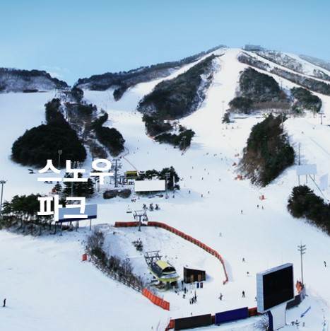 2025-2026 웰리힐리파크 스키장 개장 일정 & 시즌권 혜택 총정리