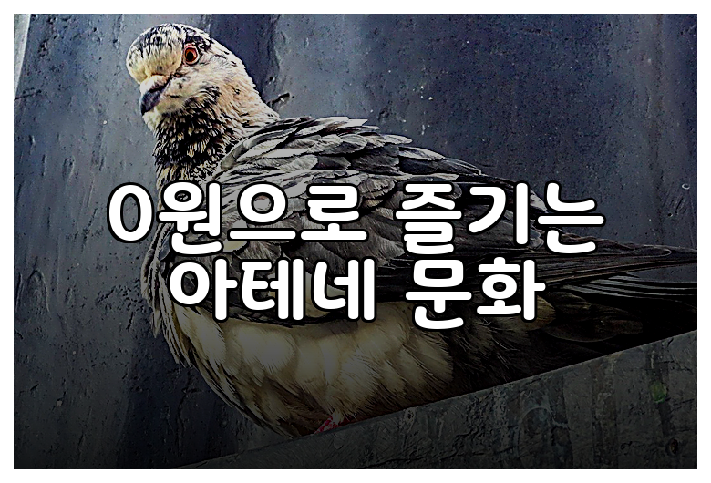 0원으로 즐기는 아테네 문화