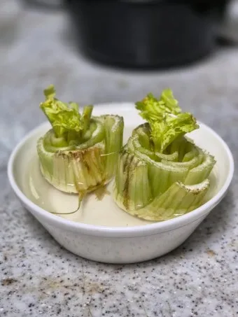 샐러리 재배 모종 심기 재배 거리 수확 연장_8