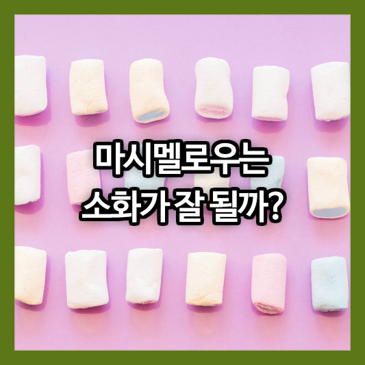 마시멜로우는 소화가 잘 될까?