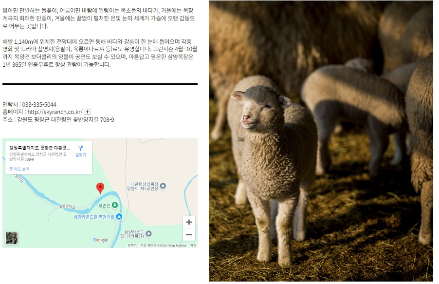 대관령눈꽃축제