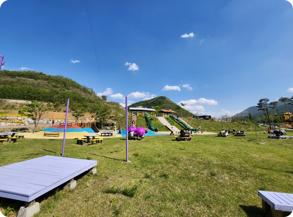 2025 강원도 동해 아이와 함께 가볼만한곳, 무릉별유천지, 라벤더 축제 총정리