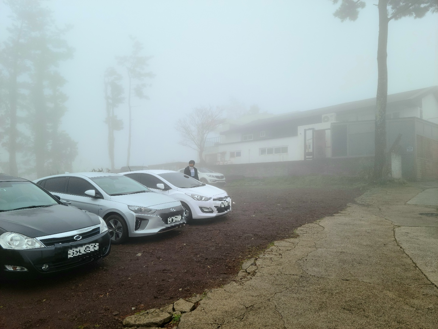 제주 현지인 맛집