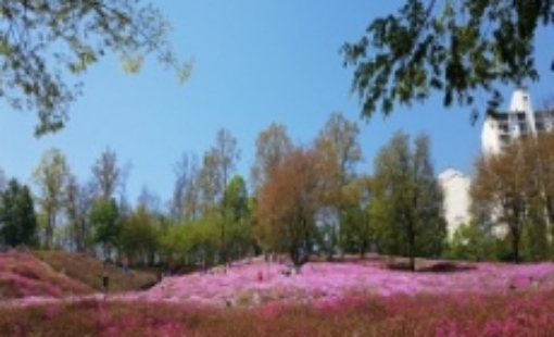 군포 철쭉축제 초대가수 및 일정 총정리