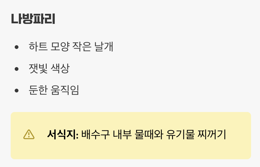 축축한 욕실의 불청객, '나방파리'