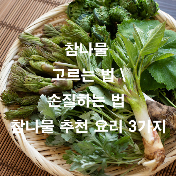 참나물 고르는 법 손질하는 법 참나물 추천 요리 3가지