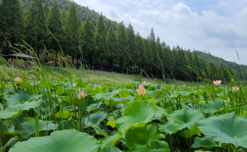 여름국내여행지