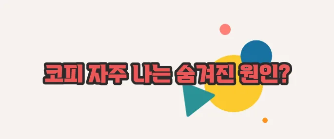 코피가 자주나는 이유 차근차근 살펴보죠