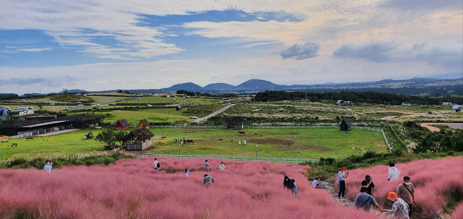가을 새별 오름 카페 "제주당"에서 바라본 풍경