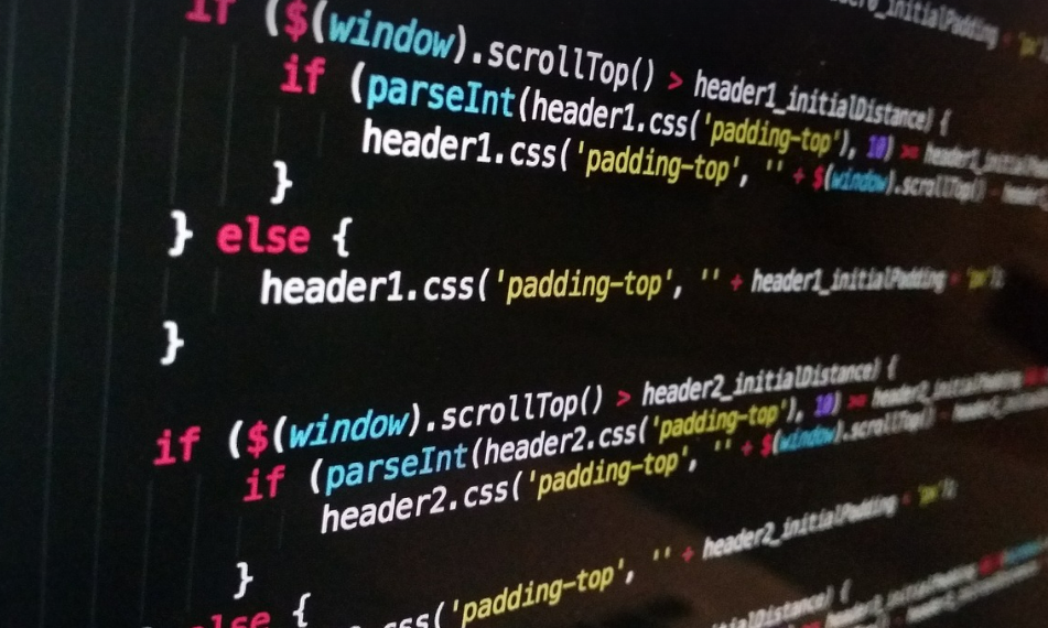 웹개발 도구 화면 사진