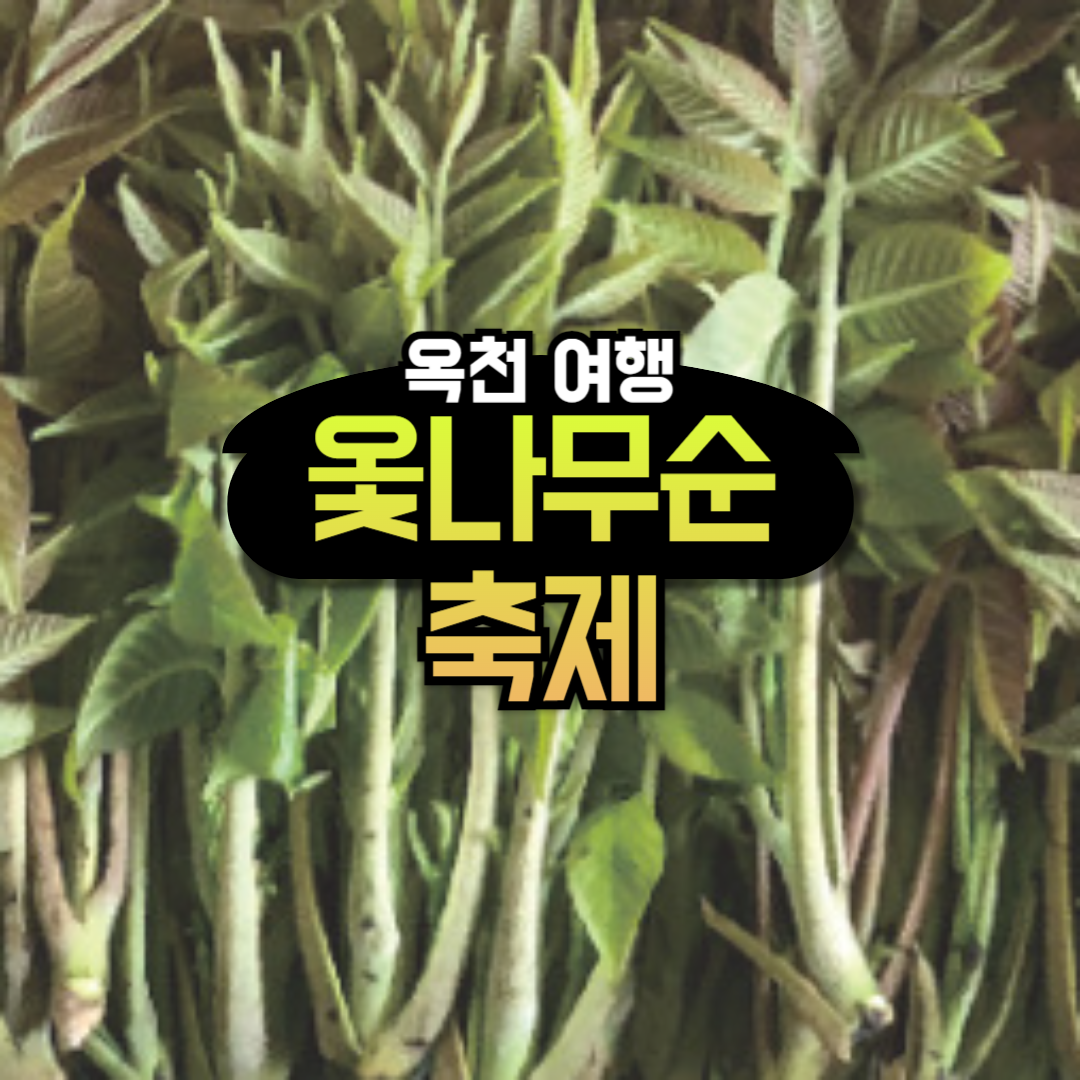 옥천 여행 참옷 축제 대전 근교 가볼만한곳