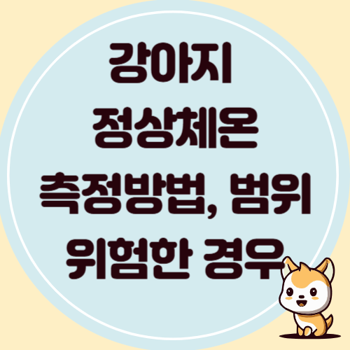 반려견 정상 체온, 측정 방법과 위험한 경우