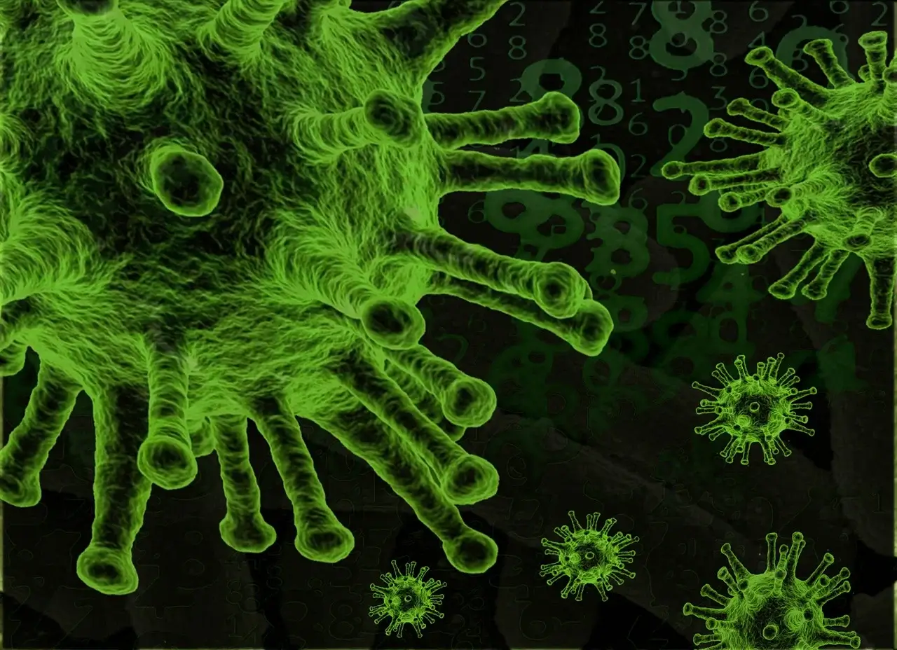 숲 생태계에서 식물과 미생물의 상호작용