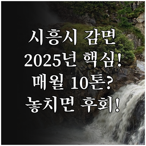 시흥시 상수도 요금 감면 2025 신..