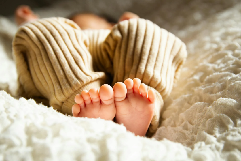 꿈해몽무료풀이