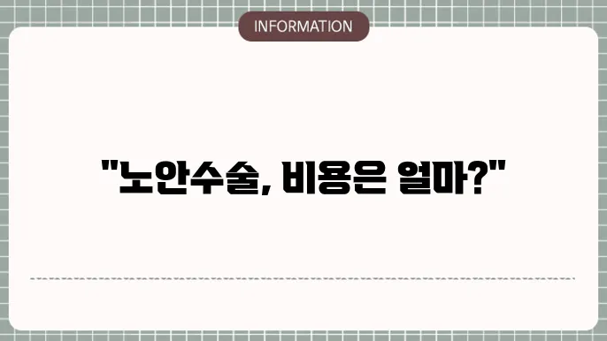 백내장이 없는 경우 노안 수술비용: