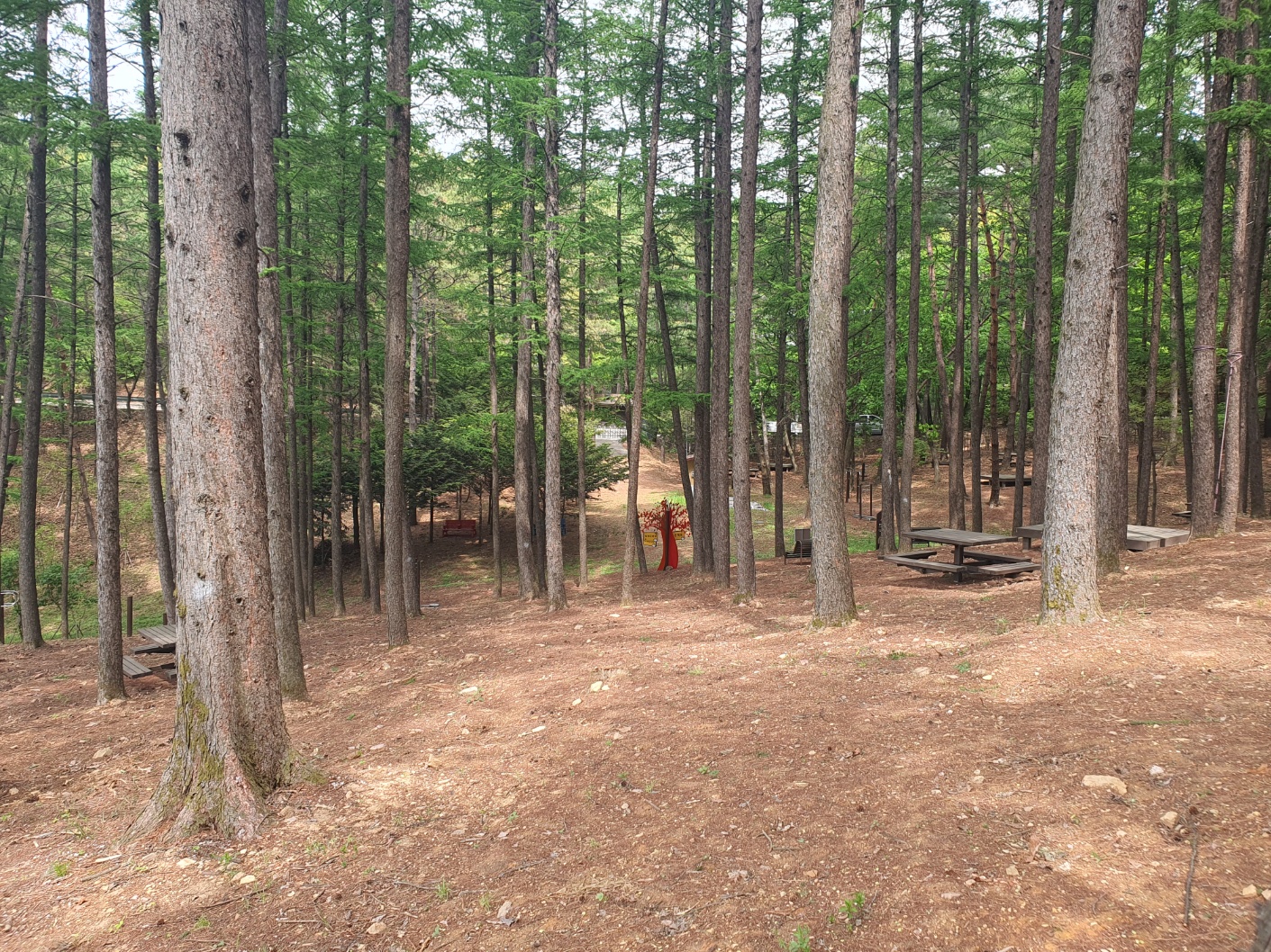 봉래산산림욕장