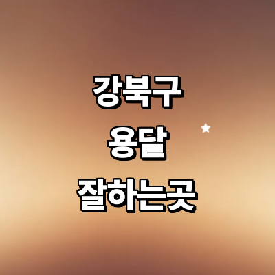 서울 강북구 용달