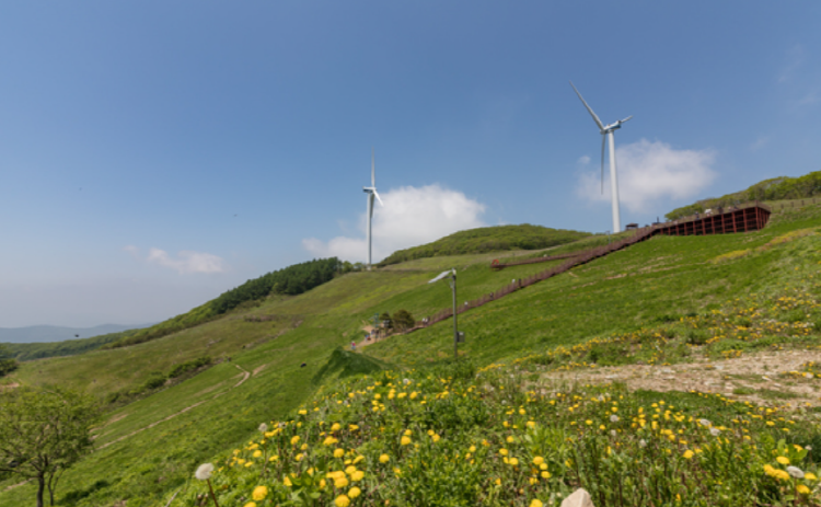 청옥산 육백마지기