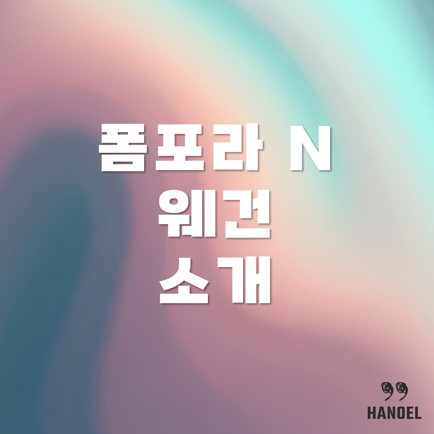 폼포라 N 웨건 소개 장단점과 색상종류, 장단점