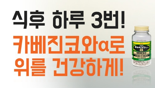 카베진 가격 효능 일본 직구 구매