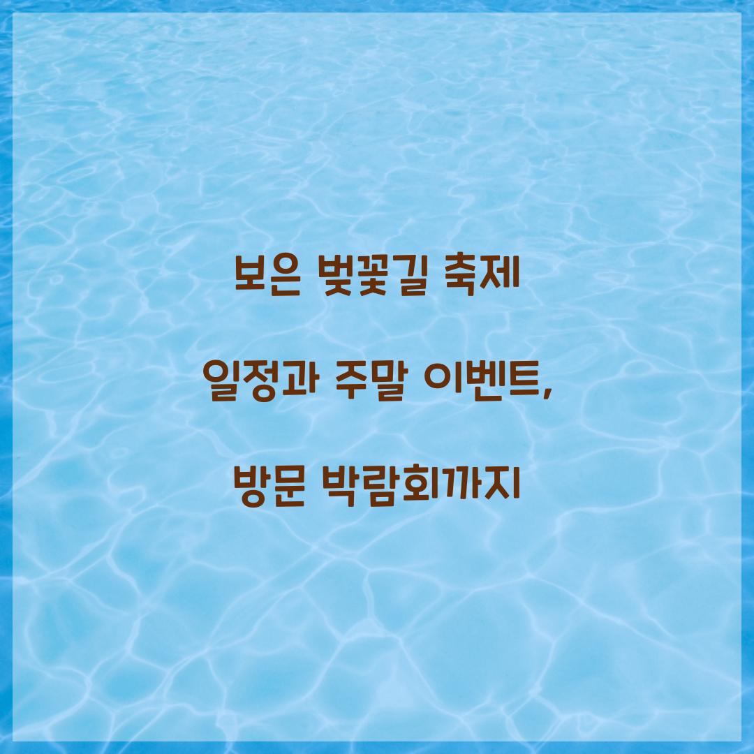 보은 벚꽃길 축제 일정