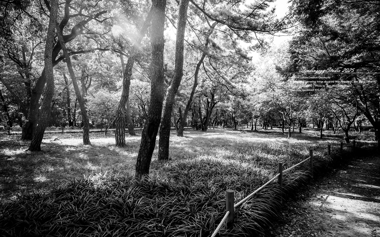 #영천 #숲 #맥문동 #오리장림