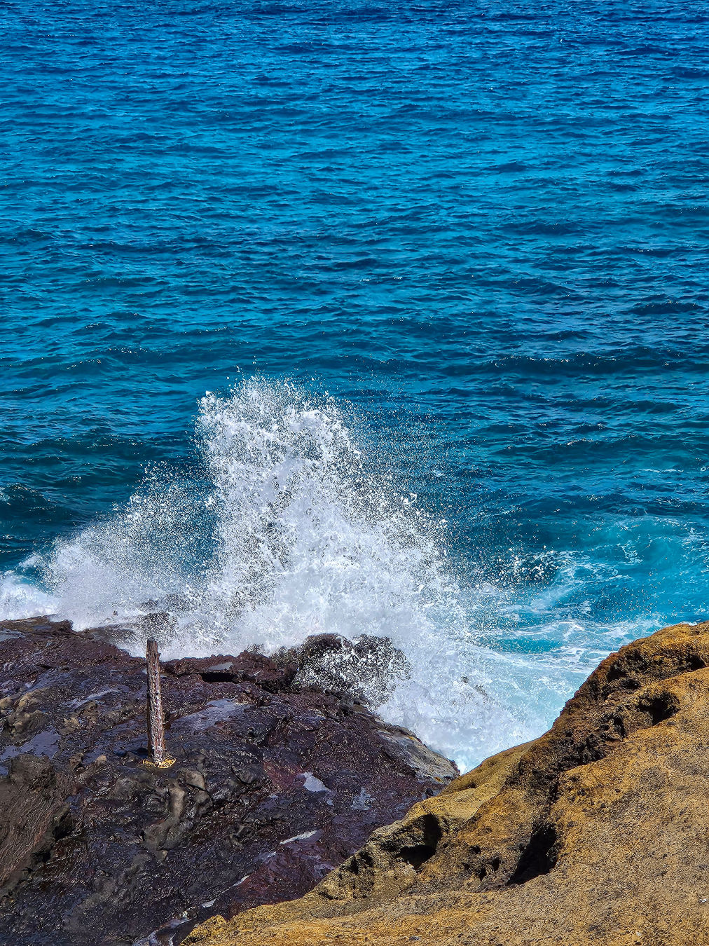 할로나 블로우홀 물기둥