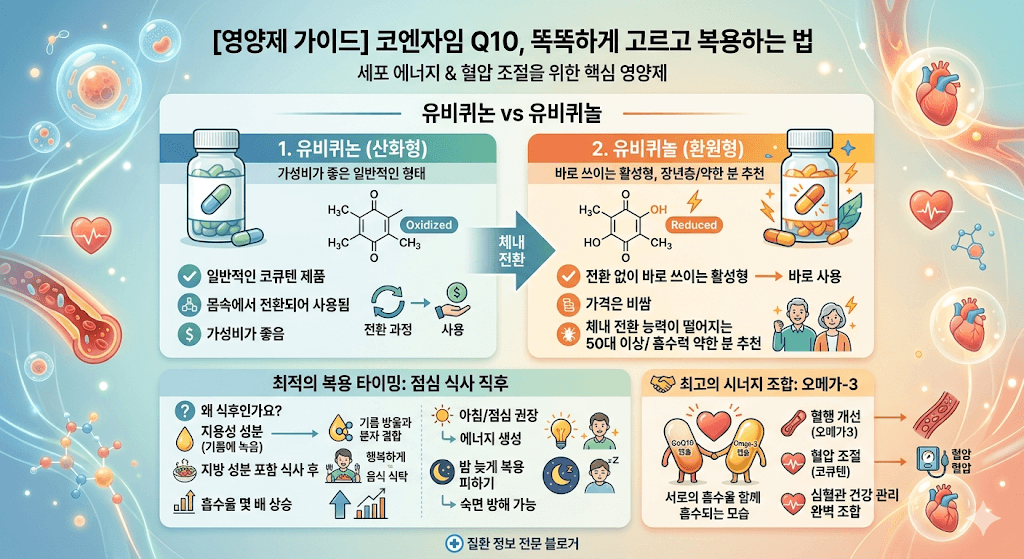 코엔자임 Q10 똑똑하게 고르고 복용하는 방법