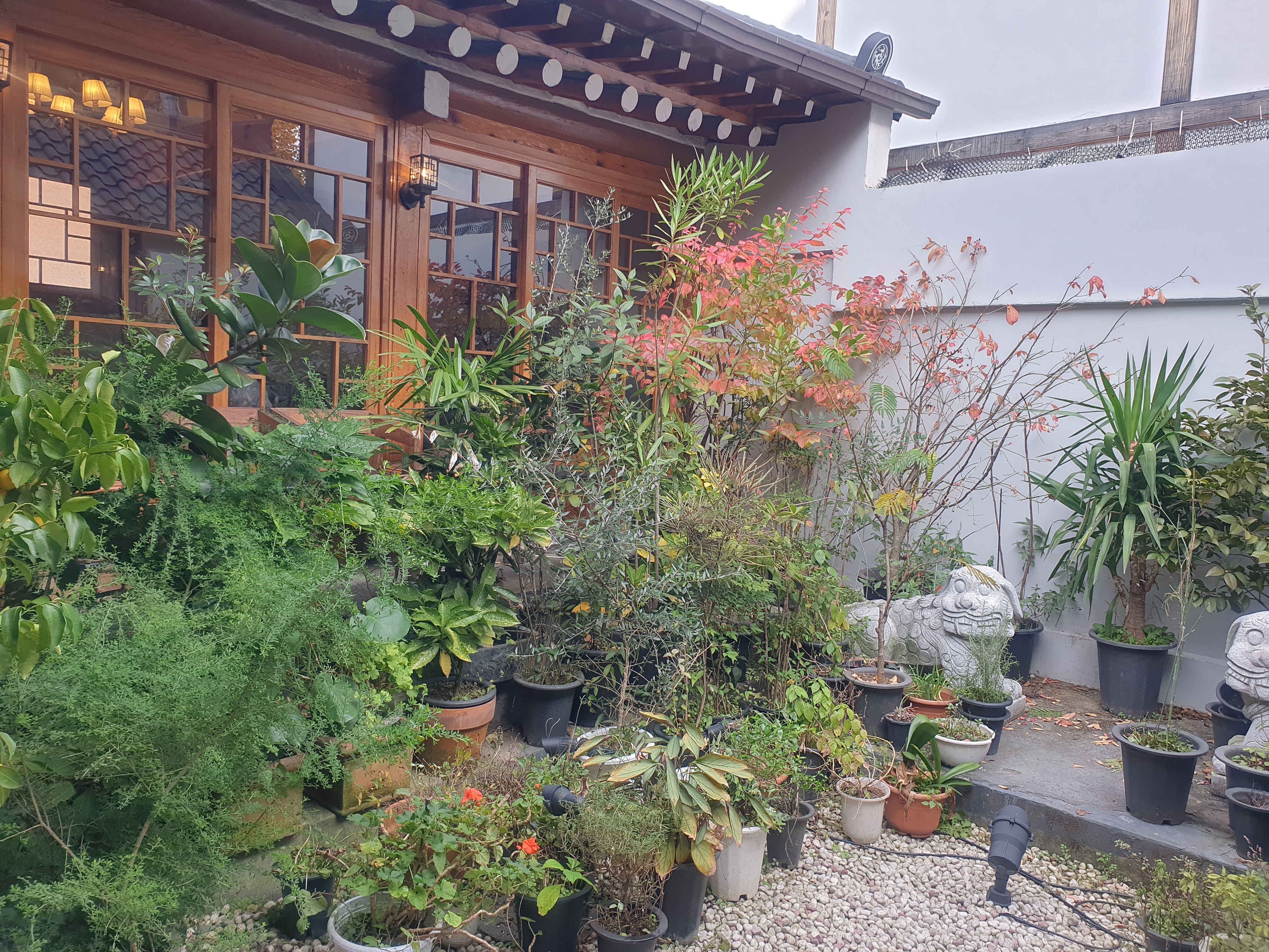 종로3가 한옥집을 개량한 그리스식당 니코키친 내부