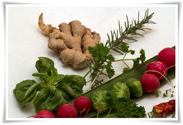 "10월 하순, 생강 수확 하세요!" 생강의 매력과 건강 효능, 최적의 수확시기! 생강의 효능과 활용!