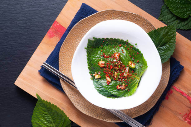 깻잎 효능 12가지와 부작용 및 하루 권장량 보관법 고르는 법