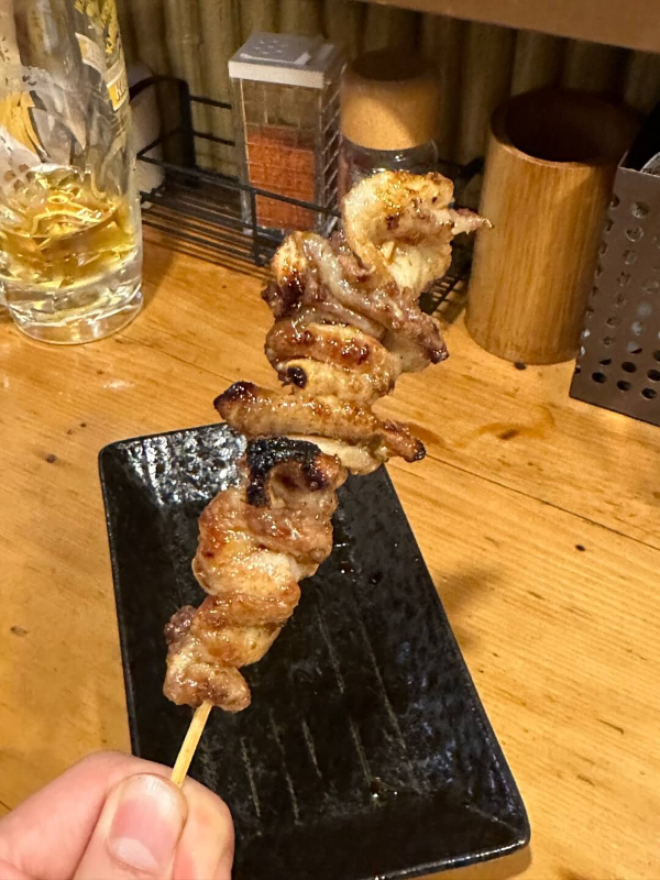 도쿄-야키토리-닭-부위