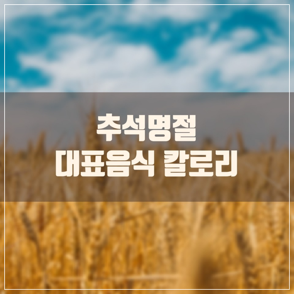 추석 음식들의 칼로리를 알아보자